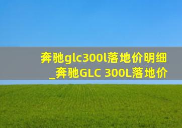 奔驰glc300l落地价明细_奔驰GLC 300L落地价